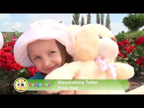 Alexandrina Tofan - Fuga fuga