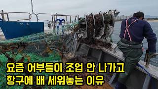 요즘 어부들이 조업 안 나가고 항구에 배 세워놓는 이유