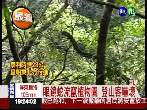 買蛇放生遭批 放蛇男子今投案