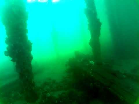 Edithburgh Live by AusOcean 31/01/2023