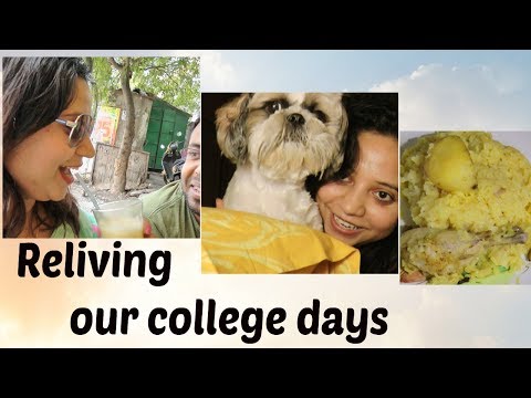 VLOG Reliving College Days | Easy Chicken Polao In Dinner | Flurry Getting Ready For Durga Puja Video