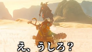 時はディアルガなんですねぇw - 視聴者全員『そんなことある?』ってなった瞬間。【ゼルダの伝説 ティアーズ オブ ザ キングダム】
