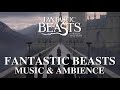 Fantastic Beasts Music & Ambience