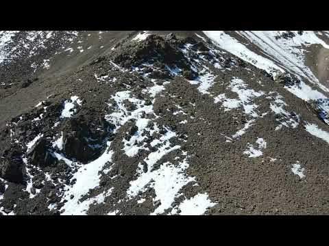 Чоно дроны бичлэг Wolf drone footage