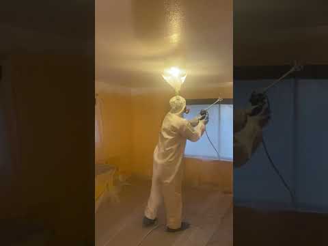 Frog clan painting group video.