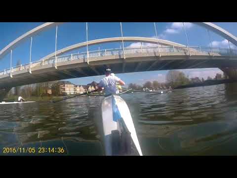 Walton Rowing Club 2017