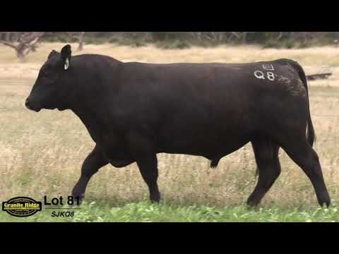 GRANITE RIDGE QUENTIN Q8