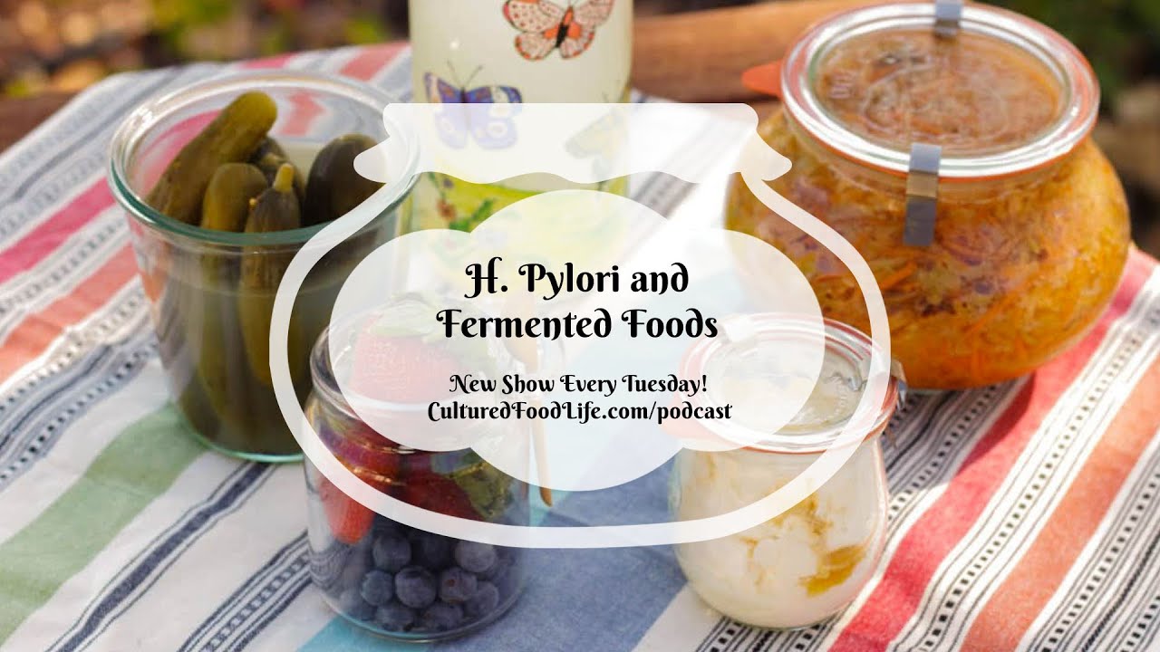 Podcast Episode 141: H. Pylori and Fermented Foods
