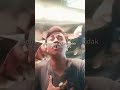 Ikan Hias Tidak Dapat Dikonsumsi Karena