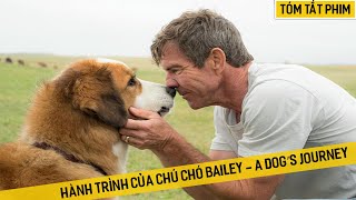 Review Phim: Hành Trình Của Chú Chó Bailey - A Dog’s Journey | Đầu thai 5 lần 7 lượt giúp chủ nhân