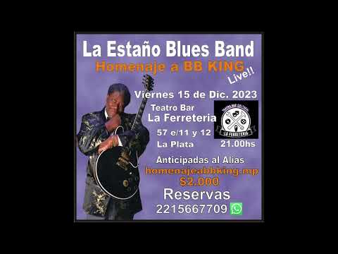SHOW EN VIVO!!! BLUES!! La Estaño Blues Band - Homenaje a BB KING