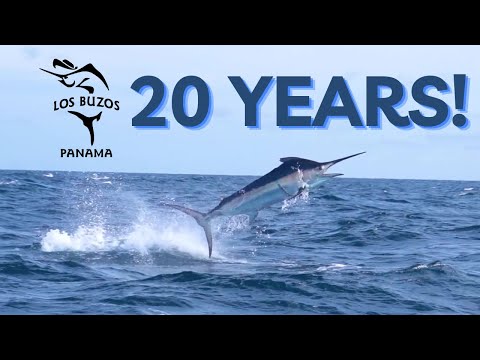 Los Buzos Panama Fishing & Adventure Resort - 20th Anniversary!