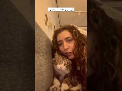 غريبة ليش القطط ما بتحبني 💔😂 #اكسبلور #كوميديات #ضحك #funny #shortvideo #shorts