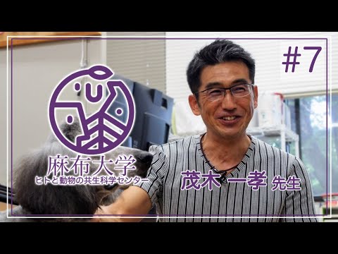 細菌叢クロストークに着目したイヌとの共生によるヒト健康促進機序の解明