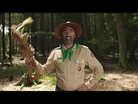 Náhled pro video reference