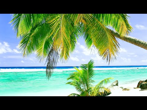 Relaxing Tropical Beach and Palm Trees | Ocean Sounds for Meditation, Study, and Sleep  | 10 Hours