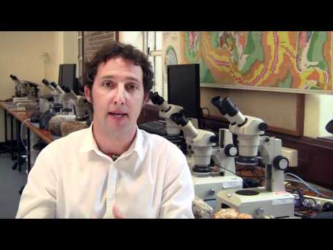 UWA Science majors: Geology