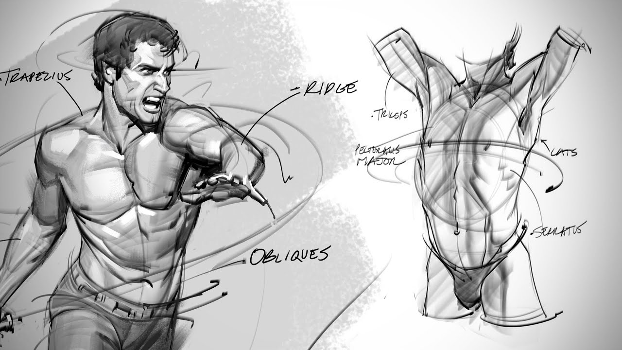 Anatomy Demo with Josh Black