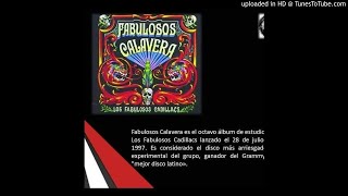 Los Fabulosos Cadillacs - El carnicero de giles - Obras 15-11-1997.