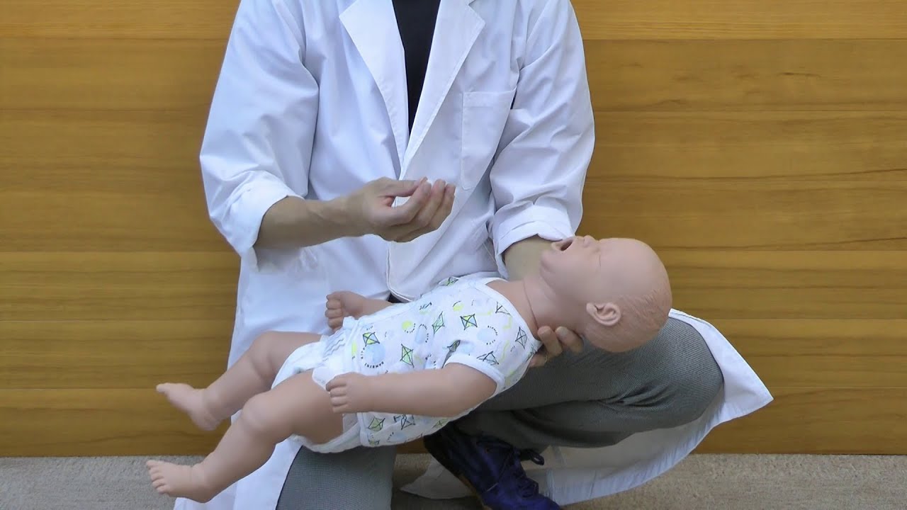 乳児への気道異物除去を練習できるマネキン│日本スリービー・サイエンティフィック株式会社