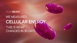 We measured cellular energy | This is what changed in 30 days with FlexBeam