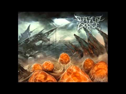 SEPTYCAL GORGE - Anabasis/Paralysis