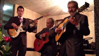 Jorge Gándara y Trío Madrigal - Serenata huasteca