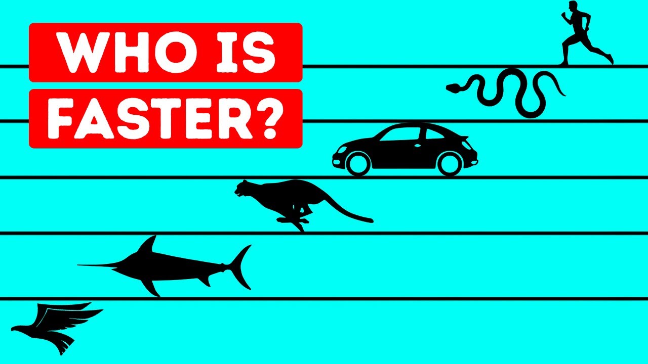 Who Is the Fastest Living Being in the World?