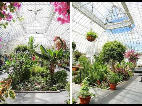 A History of the Conservatory and Restoration Updates