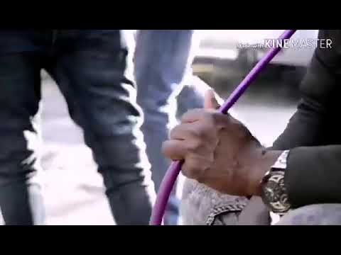 Cotxi po 2020 gaiado