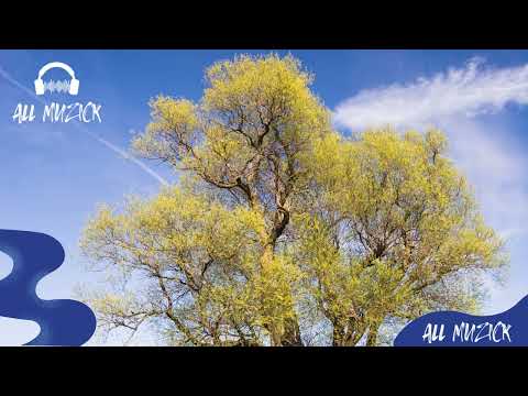 Dear My Ocean - Adelyn Paik | AllMuzick