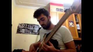 il domatore di pulci bass solo bollani carioca