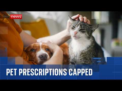 Pet owners to pay no more than £21 for prescriptions after major investigation