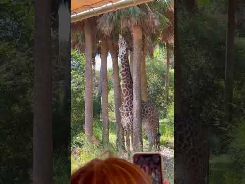 DAY 1 IN DISNEY! #shorts