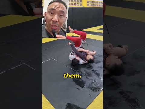 octopus part 3. stopping turtle seat belt