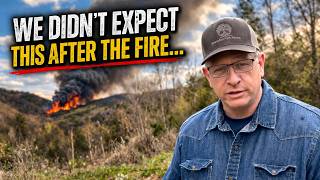 The FIRE Shifted! (600 Acres Burned: Our Current Status)