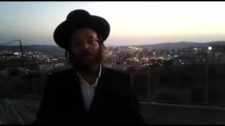 חיזוק יומי יד מנחם אב תשעז מהרב צבי חלמיש שליט"א