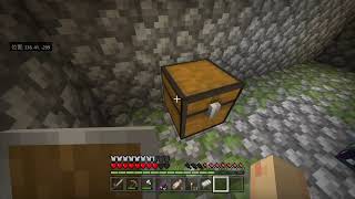 [マイクラ参加型](声無し)初見さん大歓迎！久々の配信