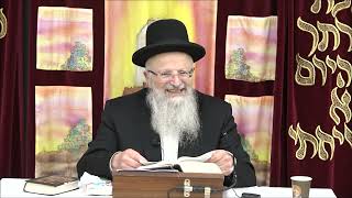 תיקון השובבים? תיקון הגאולה | הרב שמואל אליהו | שיעור בישיבת עטרת מרדכי | משפטים תשפ"ה (הרב שמואל אליהו) - התמונה מוצגת ישירות מתוך אתר האינטרנט יוטיוב. זכויות היוצרים בתמונה שייכות ליוצרה. קישור קרדיט למקור התוכן נמצא בתוך דף הסרטון