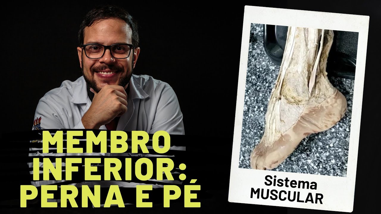 SISTEMA MUSCULAR: MEMBRO INFERIOR - PERNA E PÉ - AULA PRÁTICA COM PROF. ANDRÉ OLIVEIRA
