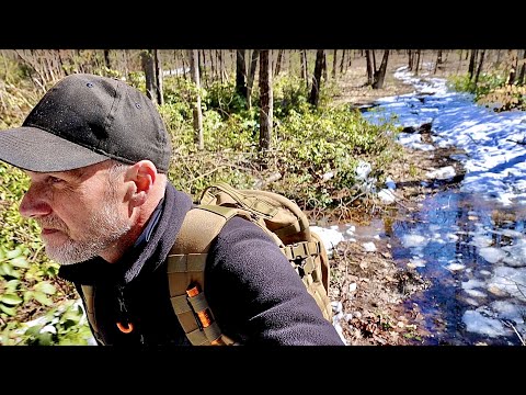 First time out in the woods this year exploring & hiking old New England