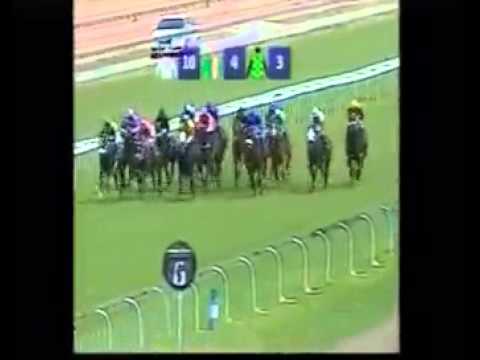 Artful Prince - 2nd win (G.Lerena) - Racing Association