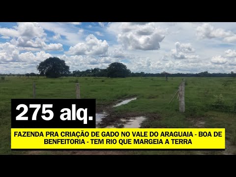 [ ARAGUAIA VALLEY ] GOOD PASTURE AND CARE FARM FOR SALE IN GOIAS - R$ 100 THOUSAND ALQ.
