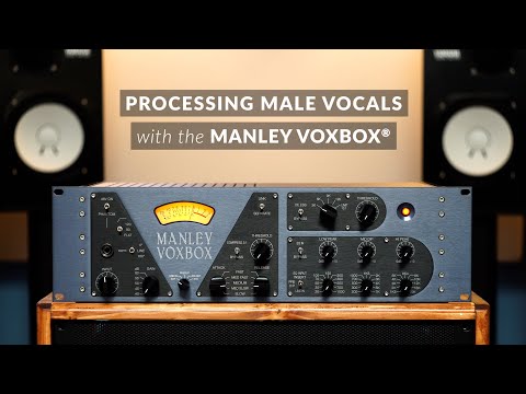 Manley Labs VOXBOX Tube Channel Strip 2021s - Purple Blue image 3