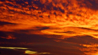 ［MHW］モンスターハンターワールド　  「実況放送です」　自称アーチャー　ヒロボーモンハン日記　その5　私はワールドはどんな時も弓1択です