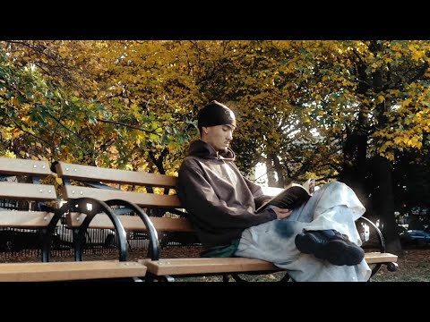 autumn lofi mix ~ songs to chill / relax to ~ seiji oda