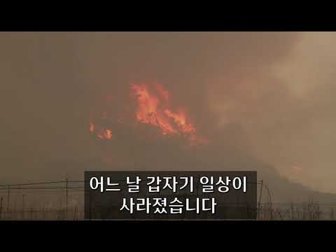 작은 손길이, 큰 희망이 됩니다!