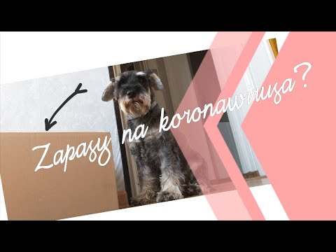 Openbox#3 Zooplus~ Zapsy na Koronawirusa