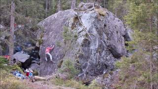 Magic Wood Marathonman