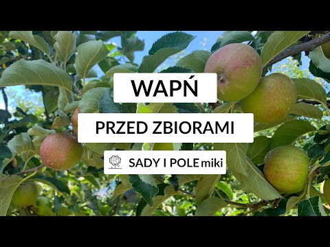 SADY I POLEmiki odc. 53 - Duże dawki wapnia w sadzie z właściwą ochroną